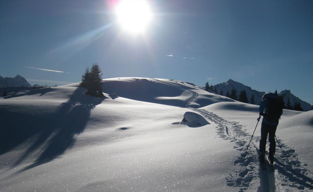 Pension Steiermark Schladming Eksteriør billede
