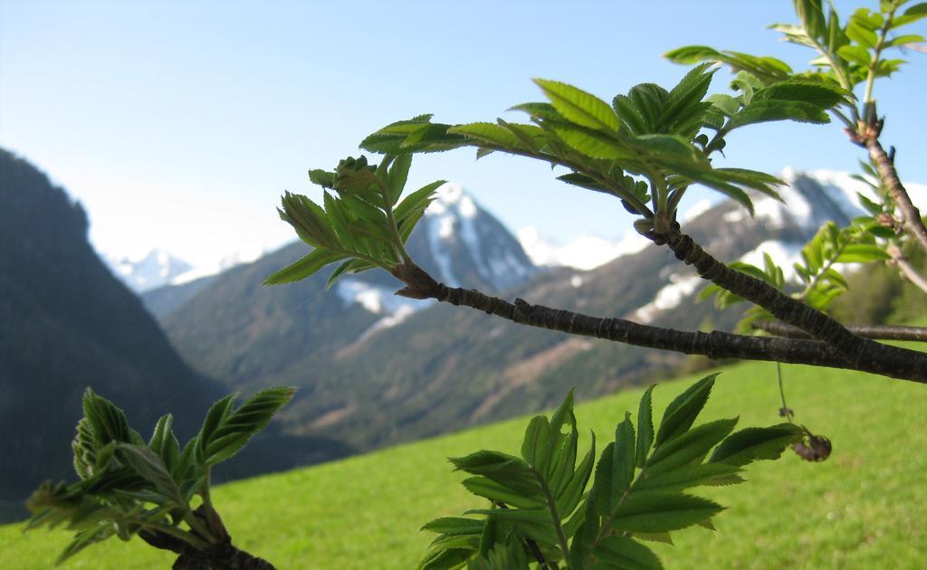 Pension Steiermark Schladming Eksteriør billede